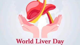 World Liver Day 2026: Best foods to detox and strengthen your liver naturally