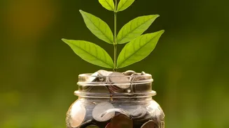 Eliminating intermediary distribution costs increases actual net annual returns across equity mutual funds