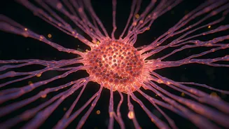 Related Stories banner