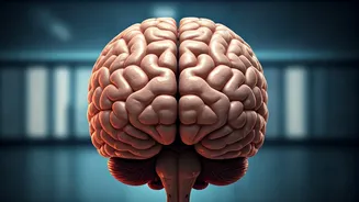 7 Brain-Draining Habits: Dr. Kumar Explains How to Reclaim Your Productivity