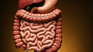 Diwali: Keep Your Gut Healthy With These Tips