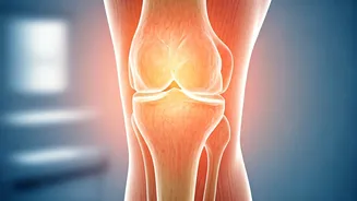 Inflammatory Arthritis: Signs, Symptoms, and Management