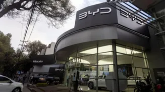 BYD Recalls 115000 EVs Due to Quality Problems