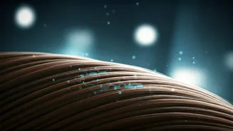 Unlocking Hair Health: Essential Blood Tests Dermatologists Recommend for Hair Fall