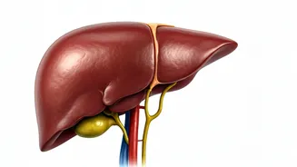 Related Stories banner