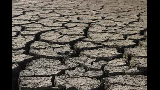 How Rising Temperatures Impact Humid Heat During India's Monsoon