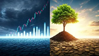 Weather Updates Can Explain Market Mood Too