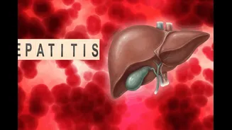 India Aims To Eliminate Hepatitis By 2030: Government's New Health Strategy Explained