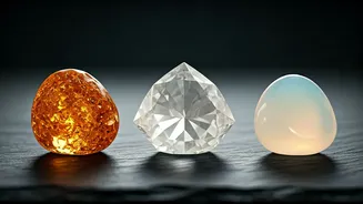 Doctor Ranks Sugar, Honey And Monk Fruit