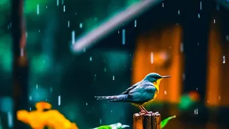 Monsoon Travel Guide: How To Read Weather Alerts Before Booking