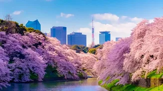From Historic Gardens To Vibrant Spaces: Beautiful City Parks To Visit In Japan