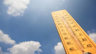 Estudo prevê novo aumento da temperatura global até 2100