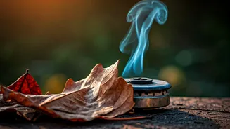 IIT Bombay's Leaf-to-LPG: A Sustainable Fuel Revolution from Dry Waste