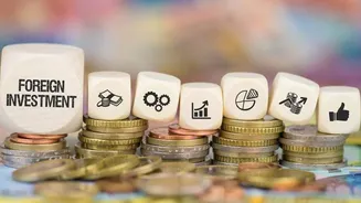 Foreign investors' equity holdings in India decline to 14-year low