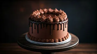 The Best Looking Vintage Dark Chocolate Ganache Cake Ever