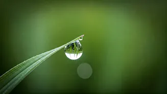 Mastering the Wandering Mind: A Bhagavad Gita Guide to Present Moment Awareness