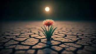 5 Powerful Ways to Navigate Breakups and Accelerate Your Healing Journey