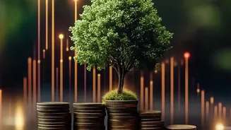 Six IPOs In A Single Day: How India's Market Has Reached This Point