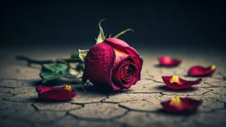 5 Subtle Signs Your Relationship Is Nearing Its End