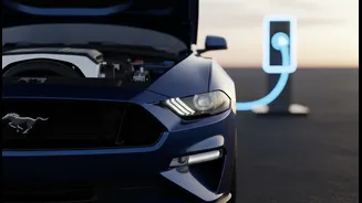 Ford's Latest Recalls Affect More Than 110,000 US Performance And EV Models
