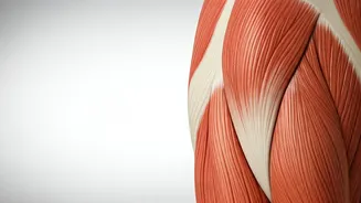 Related Stories banner