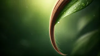 Monsoon Hair Fall Feels Worse? Here's Why