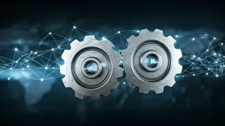 India and the EU: A Partnership Forged in Mutual Benefit