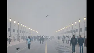 Thick Smog Blankets Delhi As AQI Remains ‘Very Poor’ At 381; Air India, IndiGo Issue Advisory