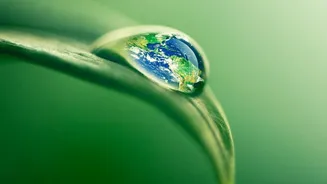 The Pacific's Closure Would Transform Continents without Removing Earth's Water