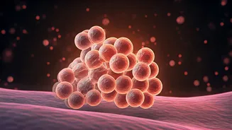Why Gut-Friendly Diets Are Having A Moment