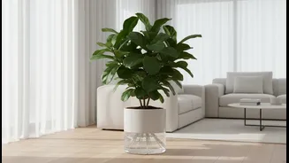 How sub-irrigated capillary potting systems lower home plant maintenance times for busy renters