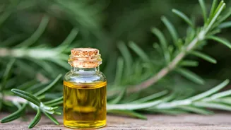 Can Rosemary Oil Regrow Your Hair?