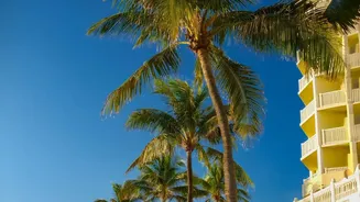 How to save on Goa hotels in September