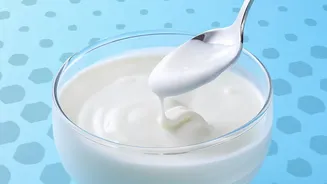 Why Greek Yoghurt Is Finding A Place In Indian Fridges