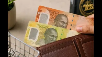 Will Polymer Banknotes Replace Paper Currency? Here's What the Government Said