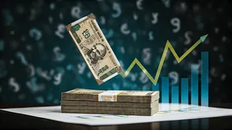 Rupee's Fall: RBI's Rescue Amid Record Lows