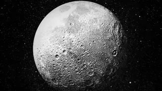 Accessible Lunar South Pole Water Ice Revealed By High Precision Neutron Spectrometer Mapping Technology