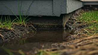 Don't Let Rainwater Stay Around Your House