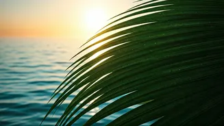 Natasa Stankovic's Phuket Escape: A Masterclass in Post-Divorce Personal Branding