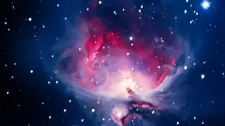 What Webb's NIRCam Sees Inside The Helix Nebula's Expanding Shell