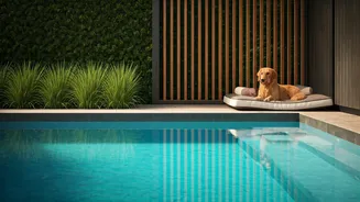 Young Pet Parents Reserve Luxury Resorts With Mini Pools