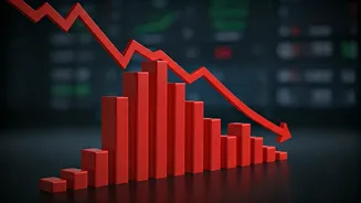 Indian Stock Market's Dramatic Downturn: What Happened?