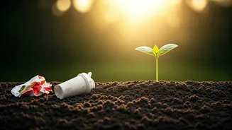 Slow & Steady Wins the Race: Why Sustainable Weight Loss Outperforms Crash Diets