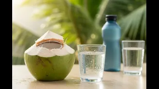 World Coconut Day 2026: Is Coconut Water Really Better Than Other Drinks?