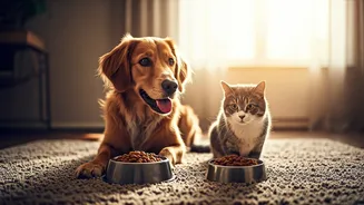 Pet Diets Need A Rainy-Season Reality Check