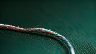 The Secret Science Behind Silk's Touch: From Caterpillars to Kanjeevarams