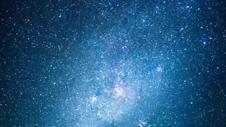 How To Make Venus Your First Stargazing Target This August