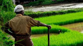 Satellite Technologies Boost Climate-Smart Agriculture in India