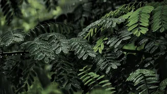 News banner