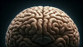 The Cognitive Cost: How Suppressing Emotions Can Affect Your Memory